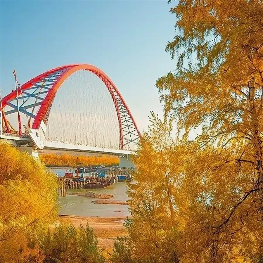 Природа новосибирска фото Великолепная осень 2019г. в любимом городе Новосибирск - Picture of Novosibirsk 