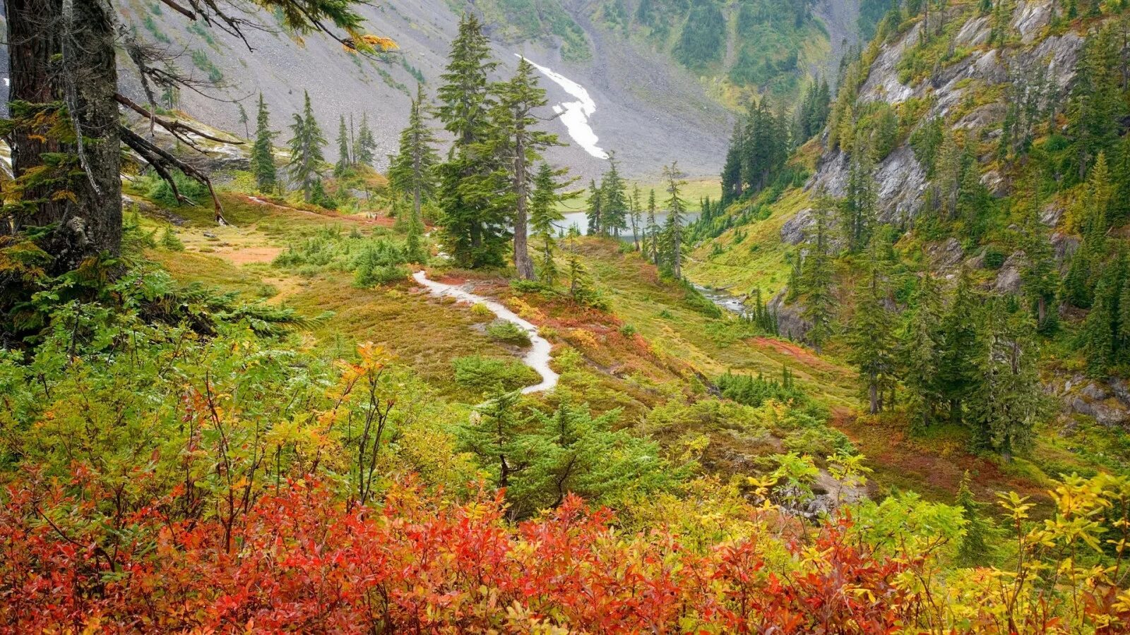 Природа область фото Wallpaper : trees, landscape, valley, wilderness, stream, plateau, ridge, tree, 