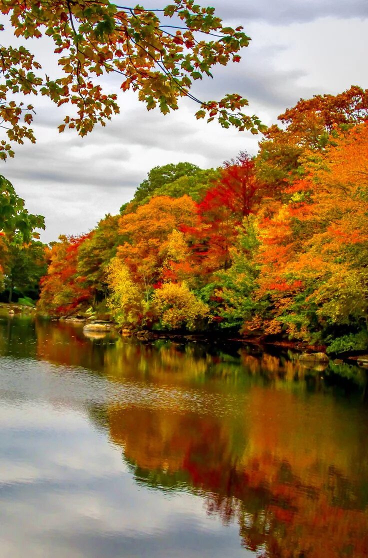 Природа осень фото картинки Autumn in Mystic CT Autumn landscape, Autumn trees, Autumn scenery