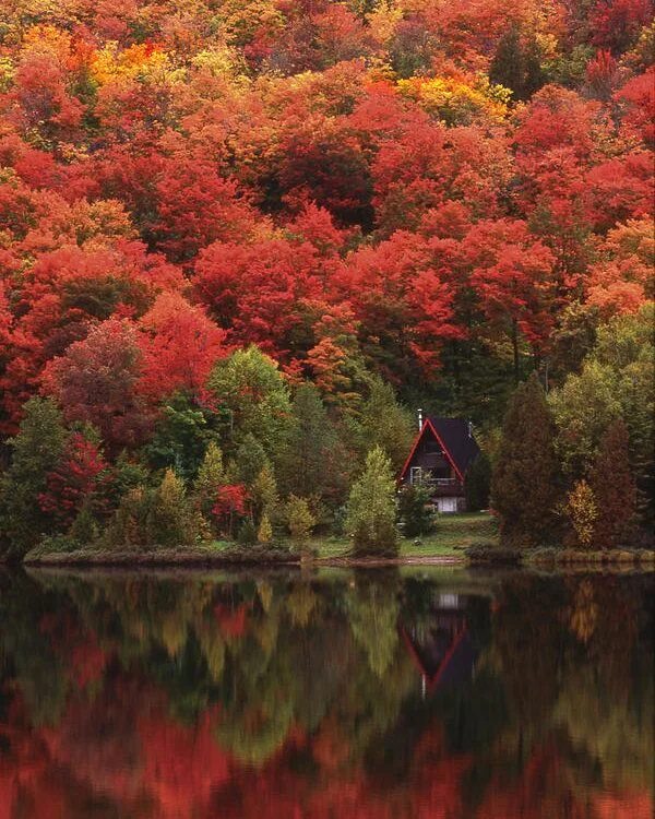 Природа осень фото самые красивые Autumn at the Lake Poster by Alan Marsh Осенний пейзаж, Идеи озеленения, Пейзажи