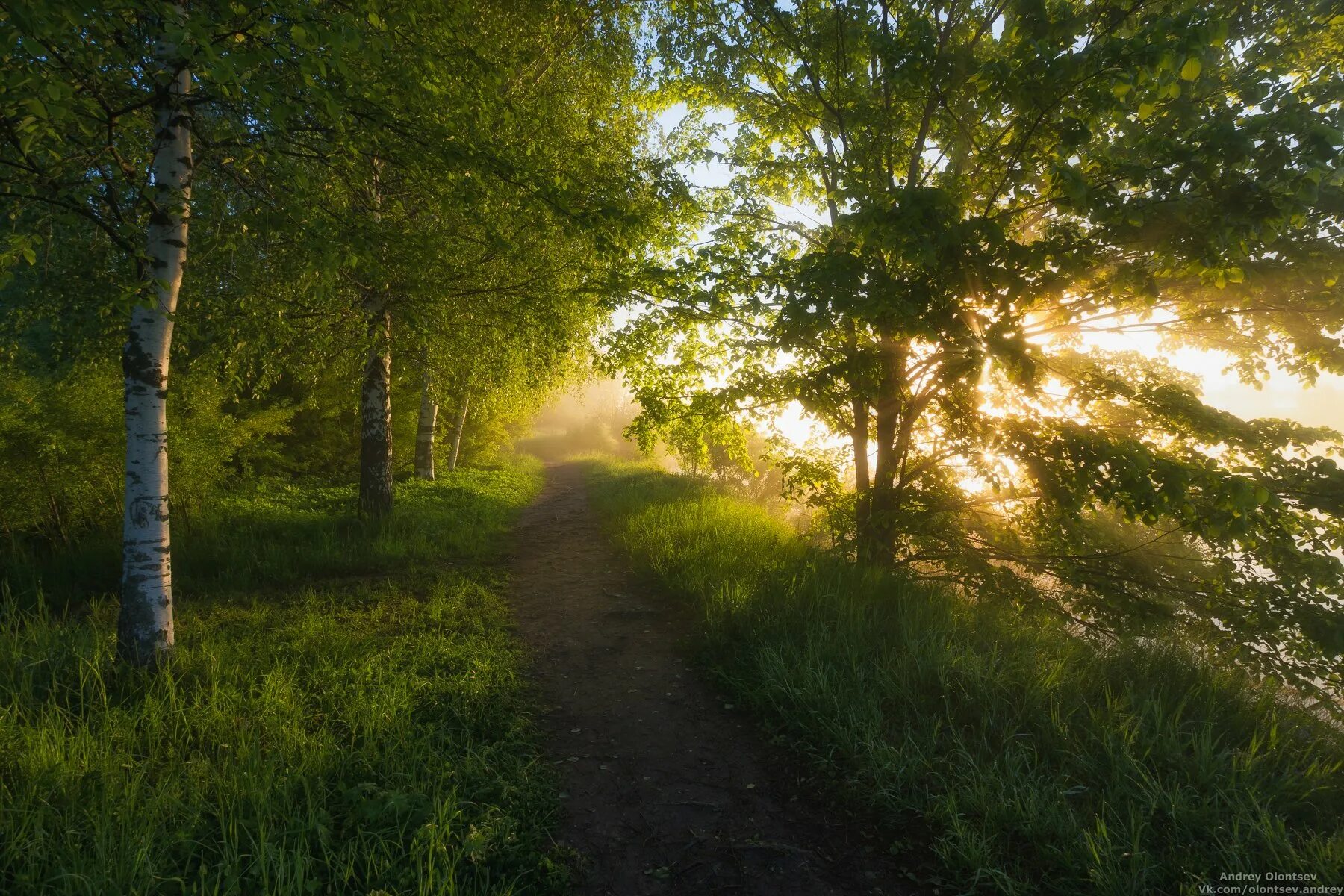 Природа подмосковья фото самые красивые Вдоль реки.. Фотограф Олонцев Андрей