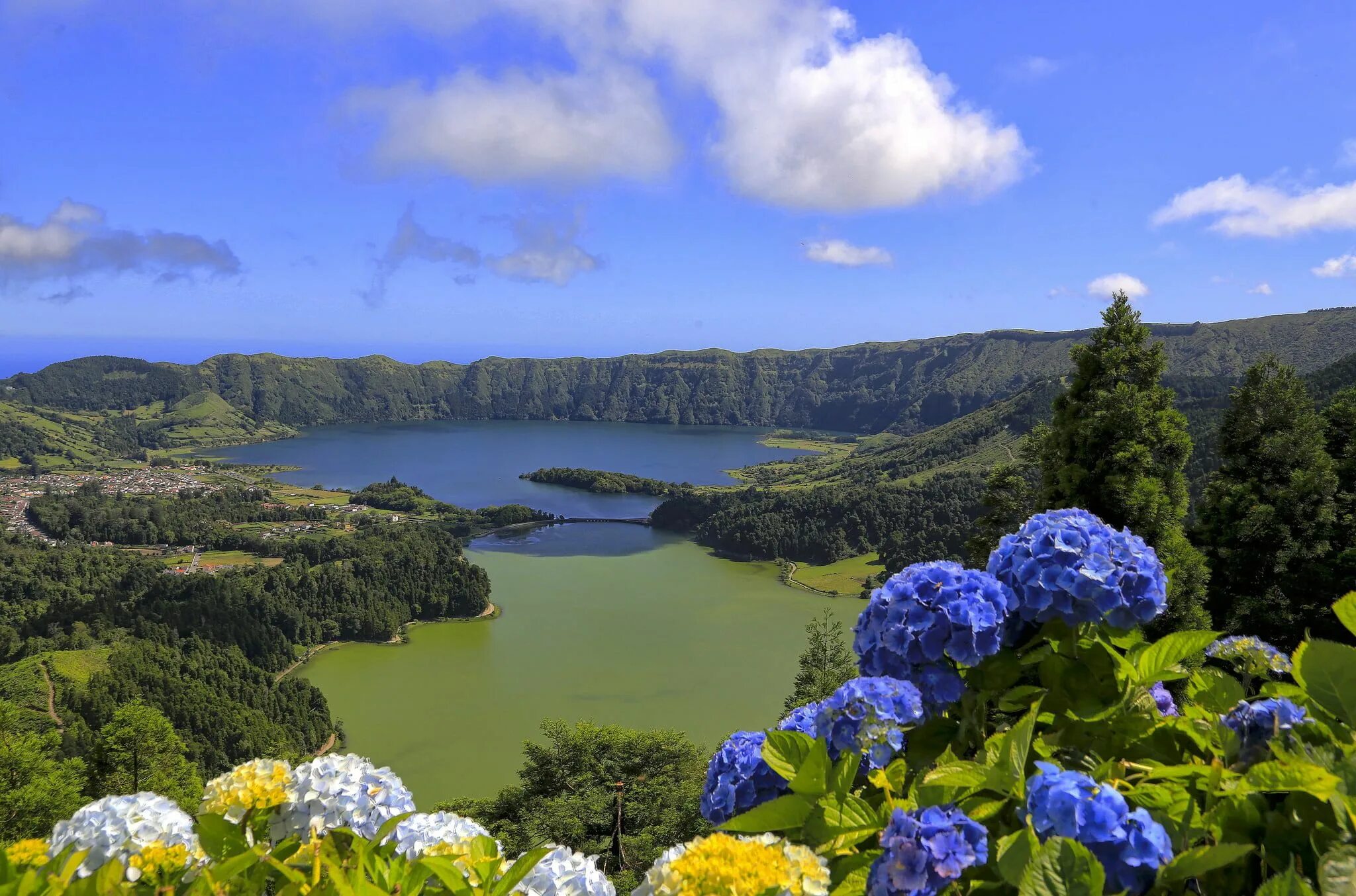 Природа португалии фото blue, white, and yellow Hydrangea flowers #flowers #mountains #lake #Portugal #A