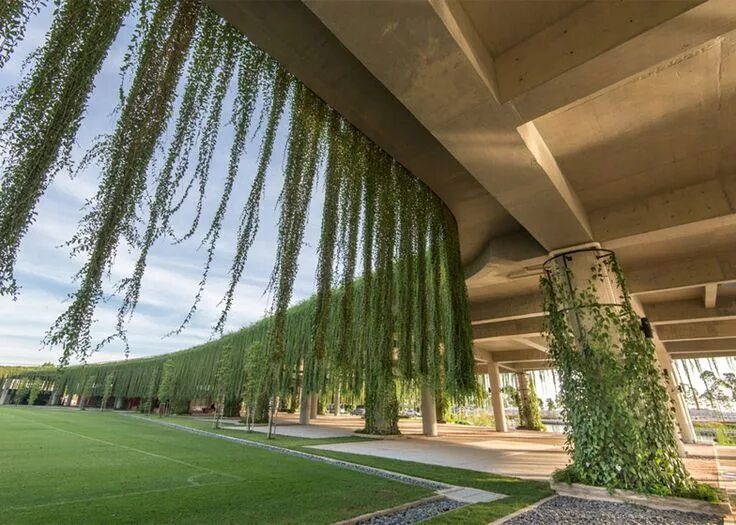 Природа предмета современный дизайн и традиции Green canopy by Garis Architects spans a community centre Canopy architecture, C