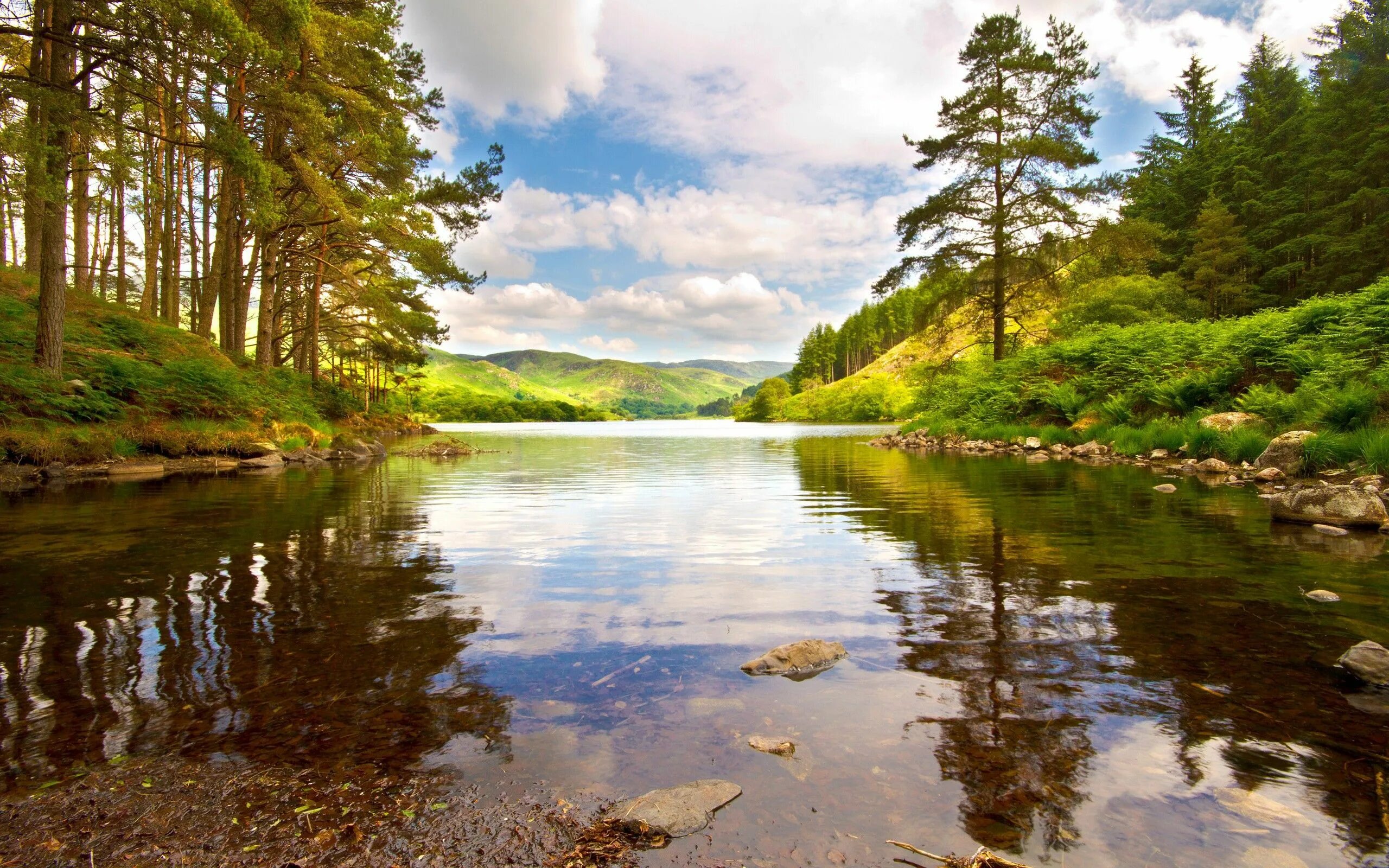 Природа речка фото Картинки по запросу forest lake Summer wallpaper, Scenery, Mountain lake