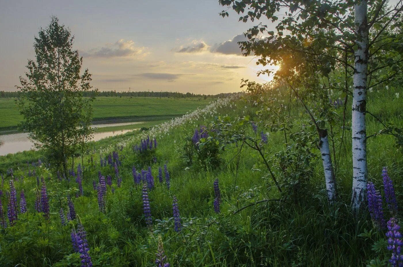 Природа родного края фото Квест-игра"Мой край родной" 2023, Белокатайский район - дата и место проведения,