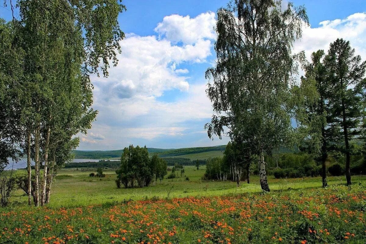 Природа родного края фото Краеведческая викторина "Мой край отеческий, моя глубинка" 2023, Белебеевский ра