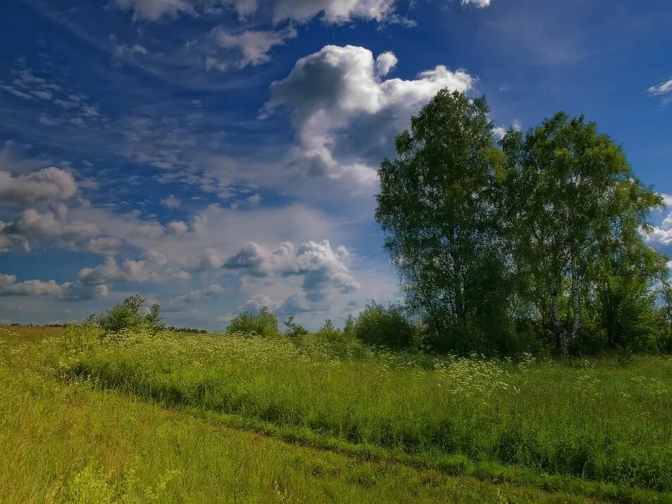 Природа родного края фото Что может быть милее родного края" 2020, Таловский район - дата и место проведен