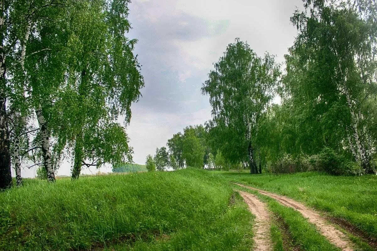 Природа родного края фото Краеведческий час "Писатели родного края" 2023, Мариинск - дата и место проведен