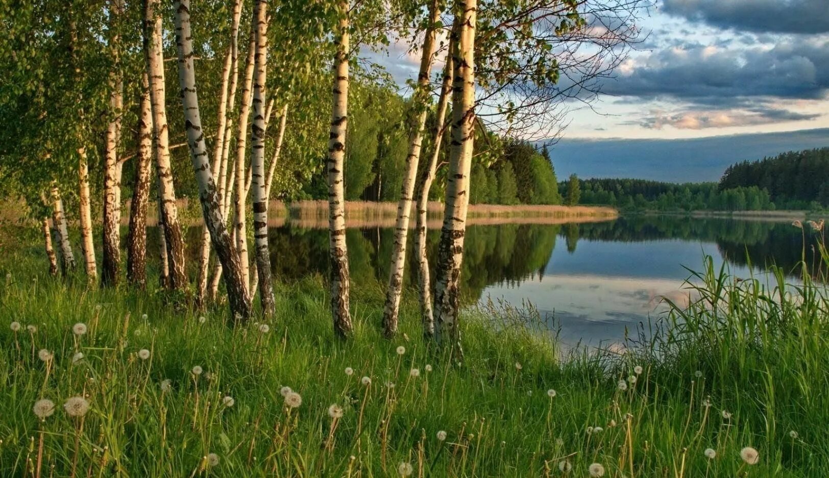 Природа россии фото Реки нашей Родины 2023, Курчалоевский район - дата и место проведения, программа