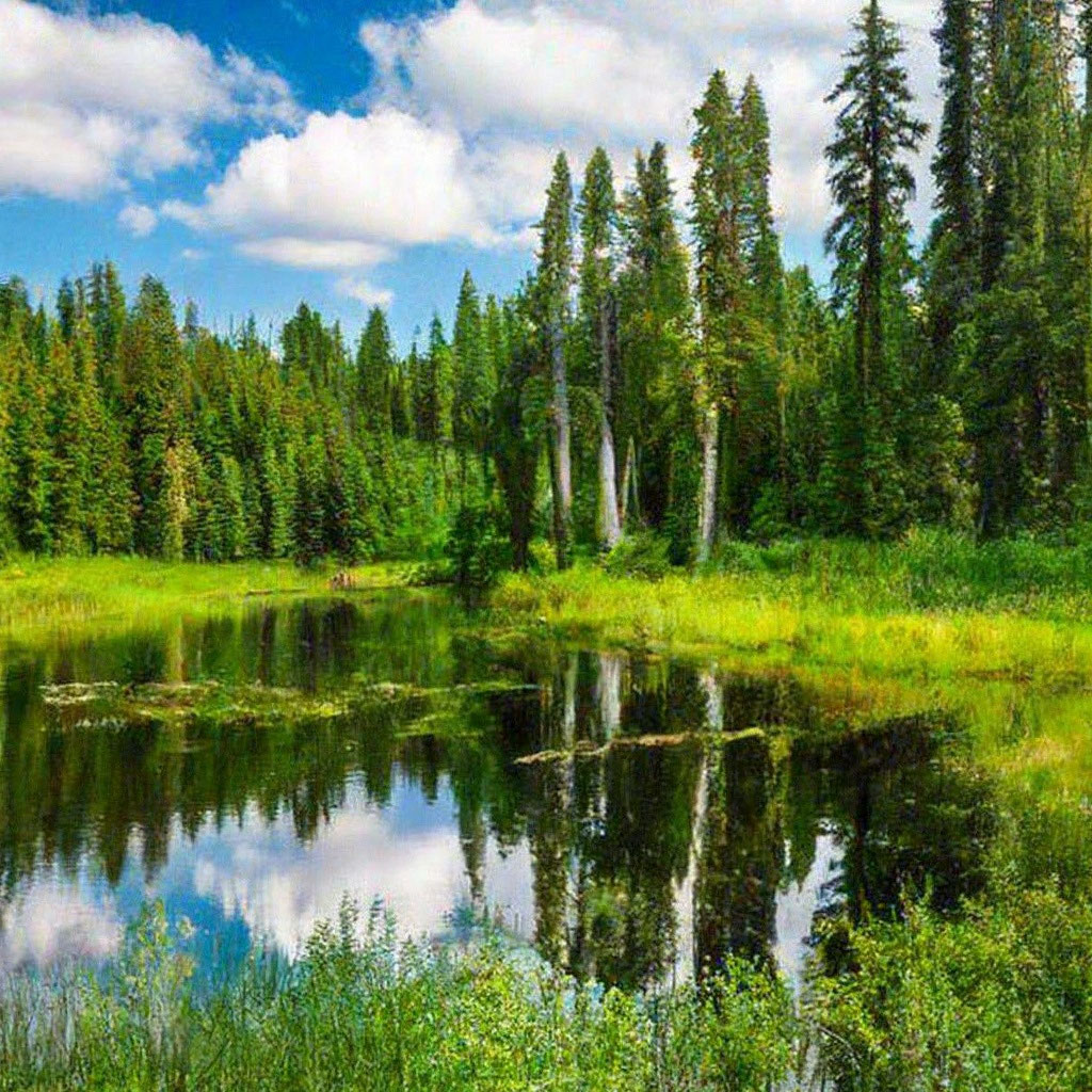 Природа россии фото "Nature of russia ольга п." - image created in Shedevrum