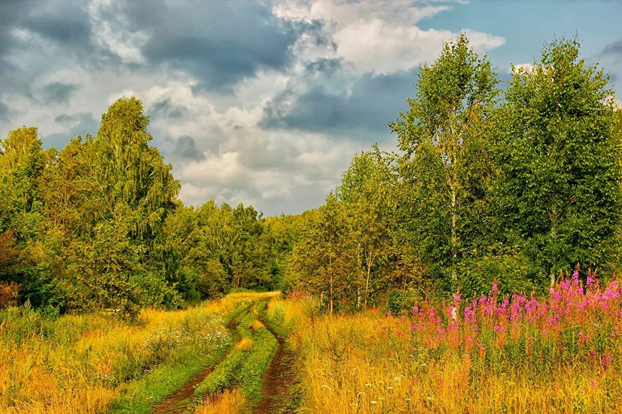 Природа россии лес фото Фотоконкурс "Русский лес - край чудес" 2020, Нейский район - дата и место провед