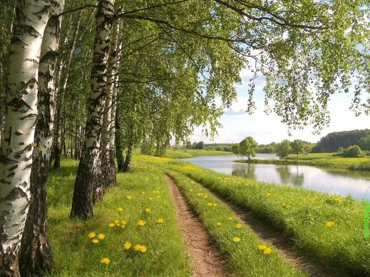 Природа россии летом фото МБУДО "Детская школа искусств" МО город-курорт Геленджик " В поддержку русской к