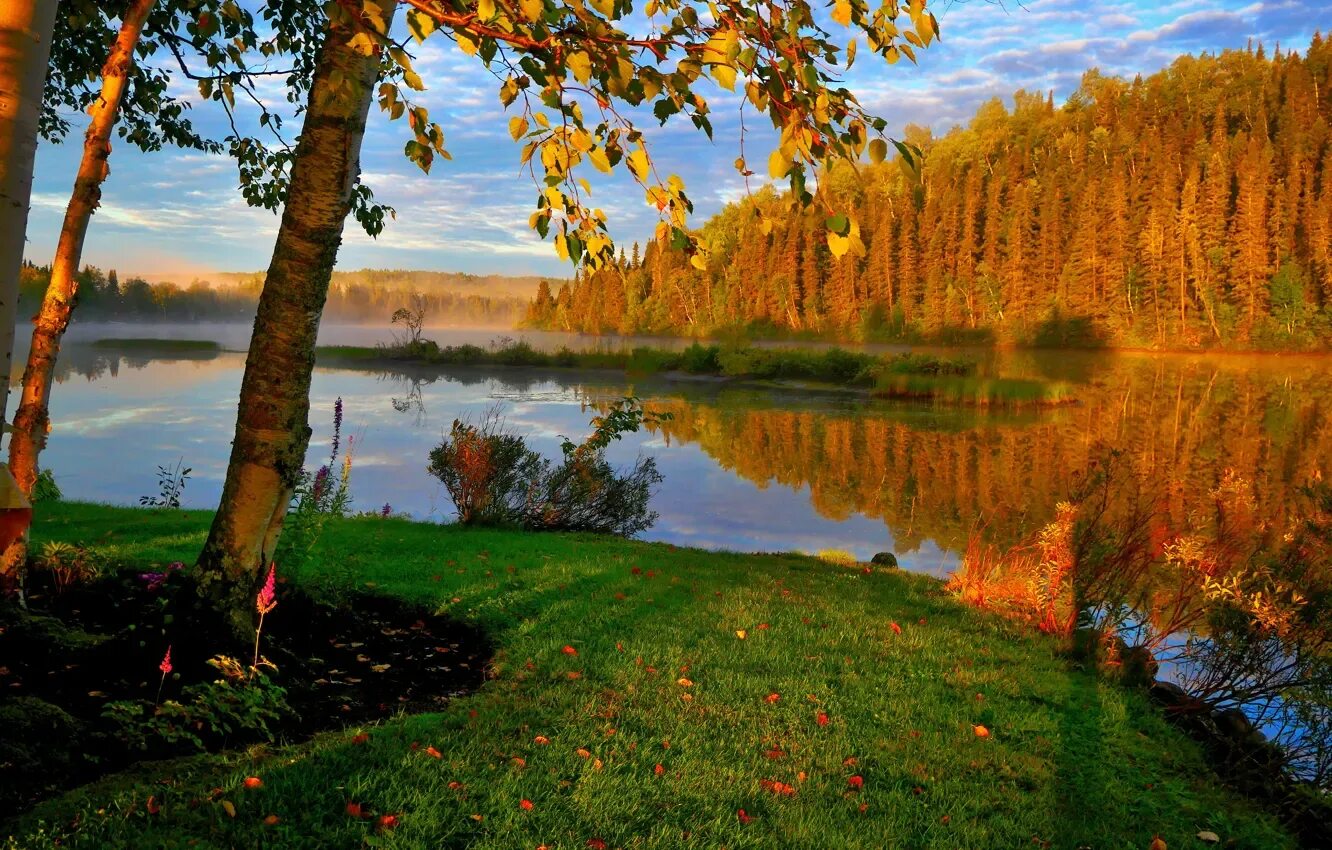 Природа россии осенью фото Wallpaper reflection, trees, river, the sky, autumn, forest for mobile and deskt