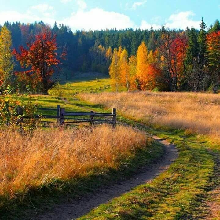 Природа россии осенью фото Back road Landscape, Scenery, Autumn landscape