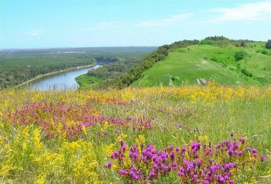 Природа ростовской области фото Природа Донского края 2023, Родионово-Несветайский район - дата и место проведен