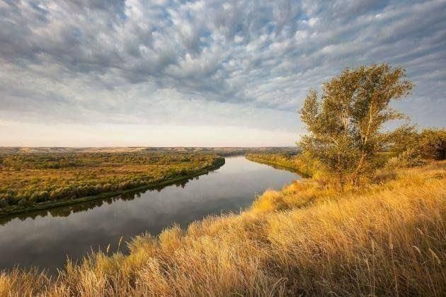 Природа ростовской области фото Квест "Мой город. Мой район. Моя история"