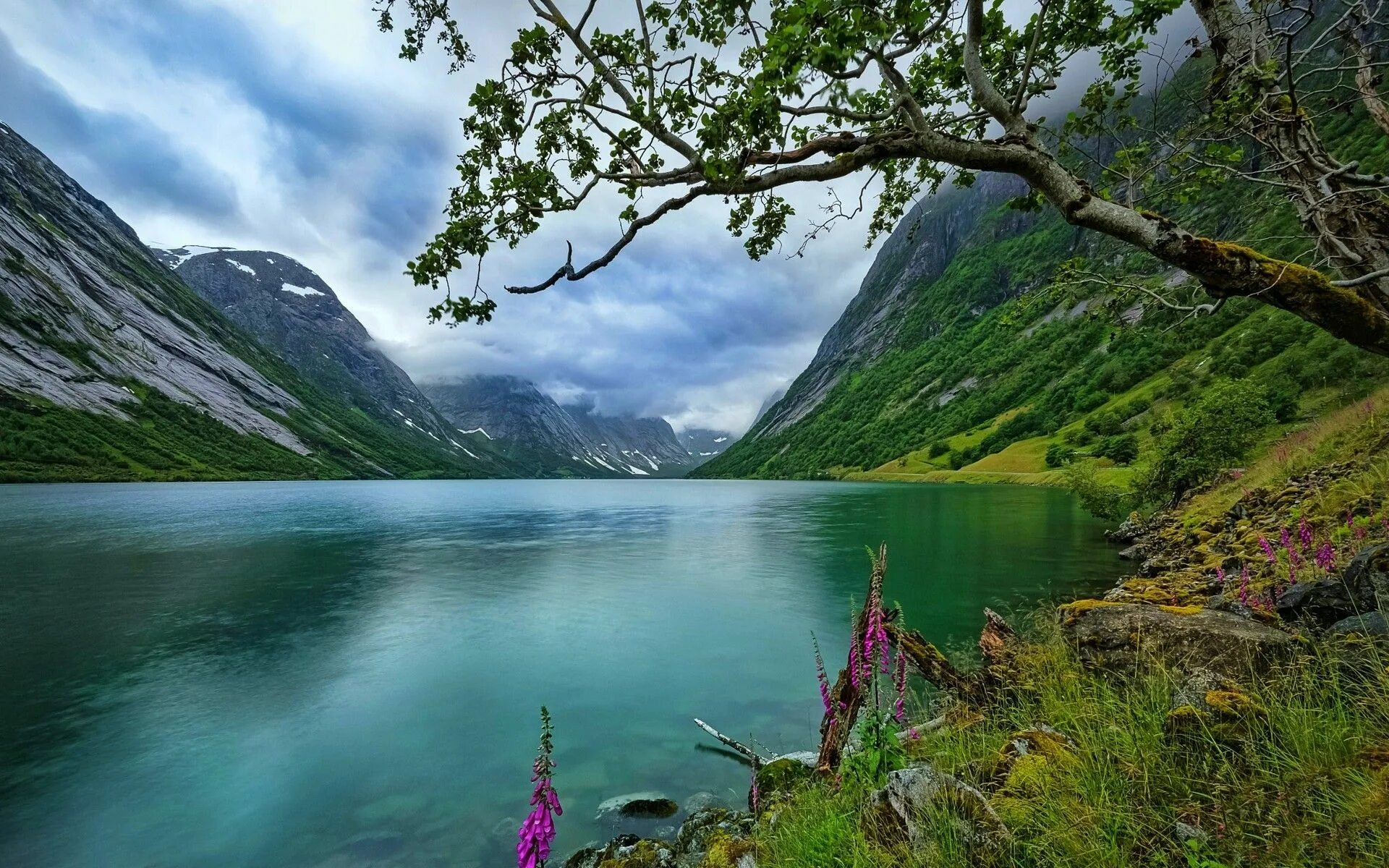 Природа ru фото nature, Landscape, Lake, Wildflowers, Trees, Norway, Grass, Clouds, Summer, Wate