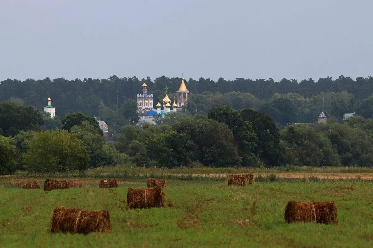 Природа рязани фото Где отдохнуть на природе в Рязанской области Как Туда Попасть Дзен