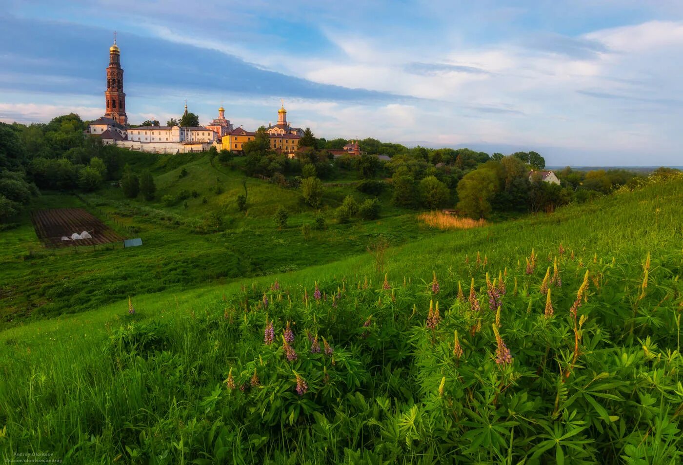 Природа рязани фото Перейти на страницу с картинкой