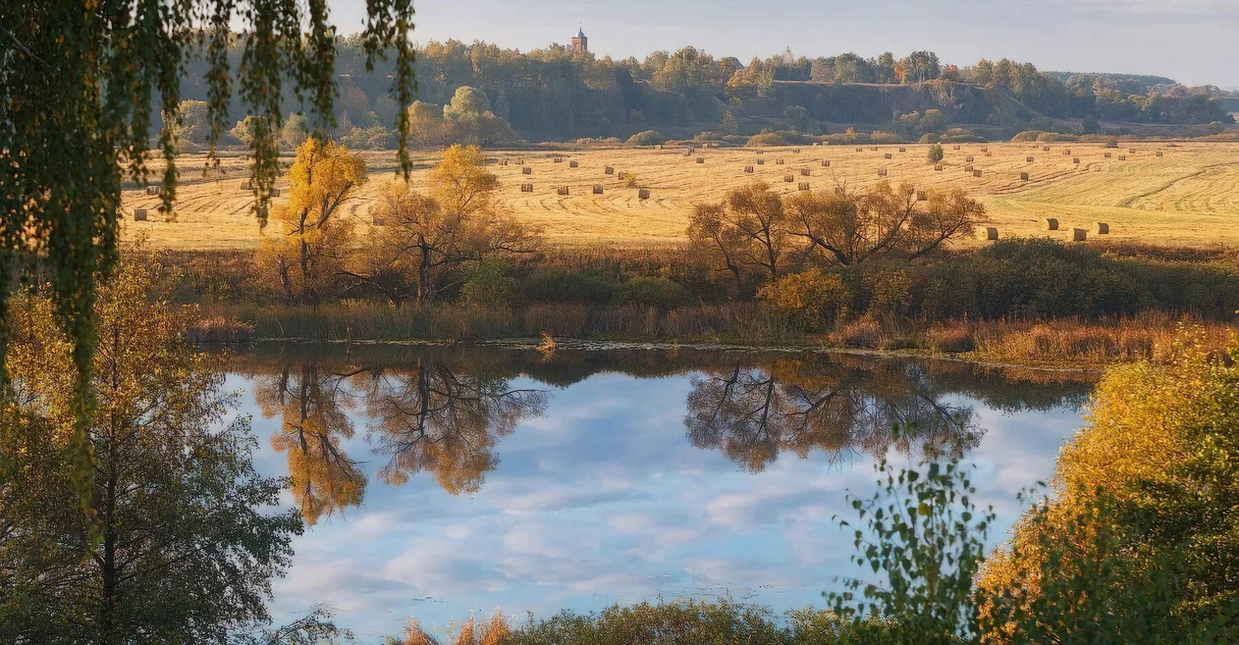 Природа рязани фото Регион 62. 10 фактов про Рязанскую область