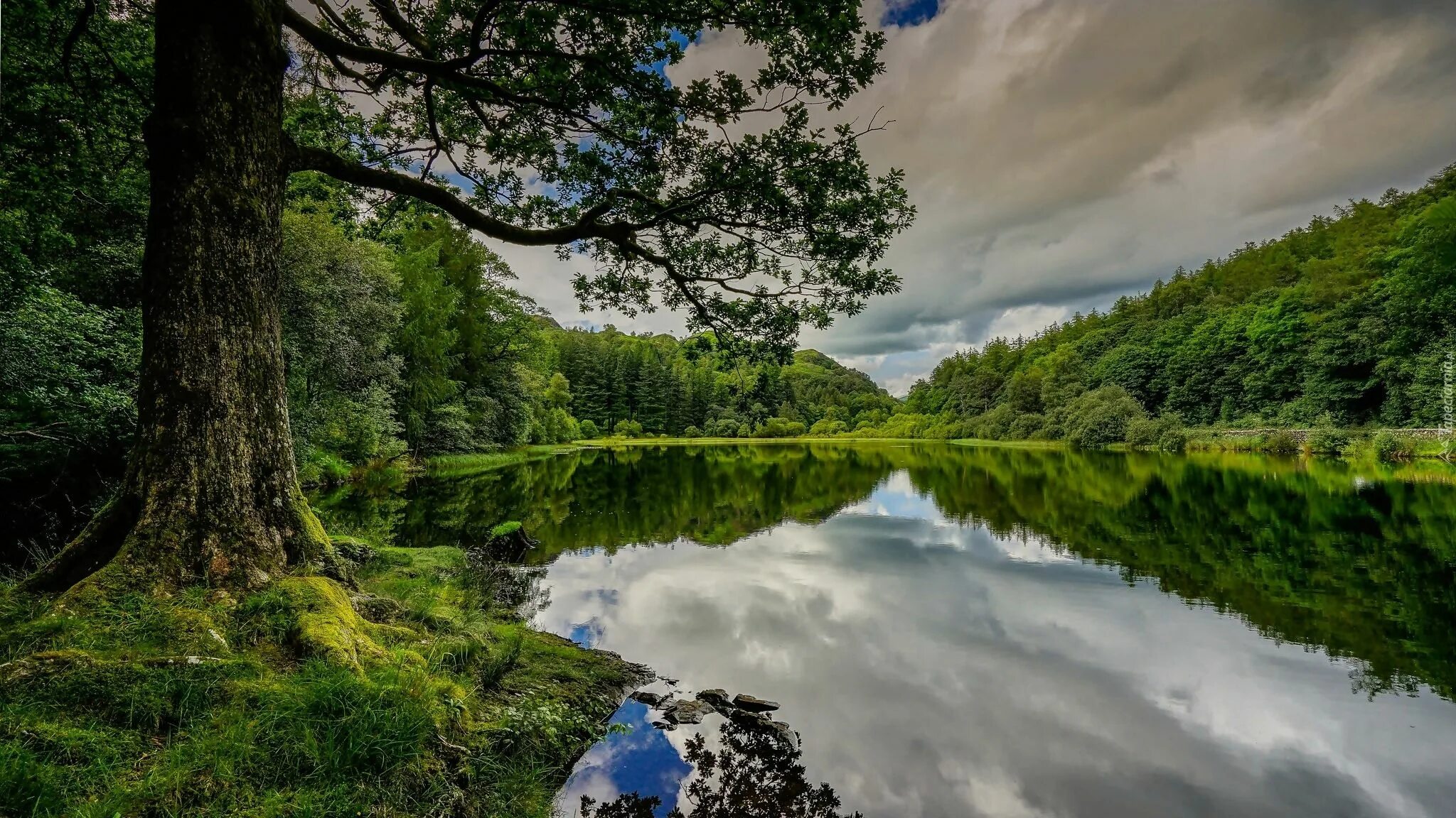 Природа с рекой фото красивые Anglia, Kumbria, Obszar Lake District, Jezioro Yew Tree Tarn, Drzewa Sunset vaca