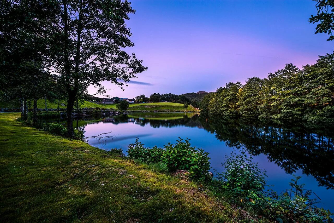 Природа с рекой фото красивые Billede Norge Rogaland Natur Sø Landskab Græs Træer Norway landscape, Beautiful 