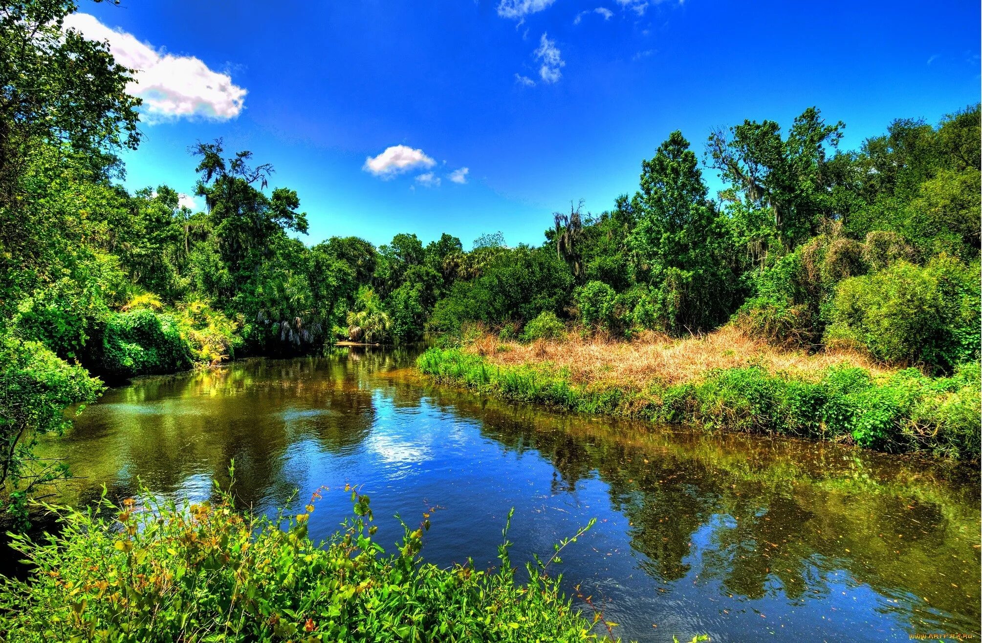 Природа с рекой фото красивые Wallpaper : landscape, colorful, forest, lake, reflection, river, wilderness, po