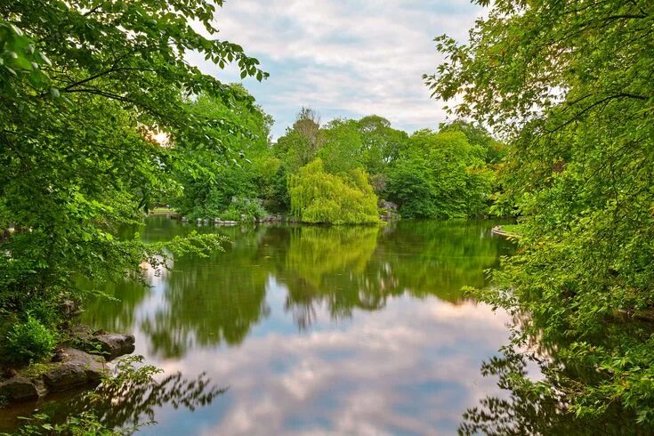 Природа с рекой фото красивые St Stephen's Green (freebie) by boldfrontiers on DeviantArt Stock pictures, Gree