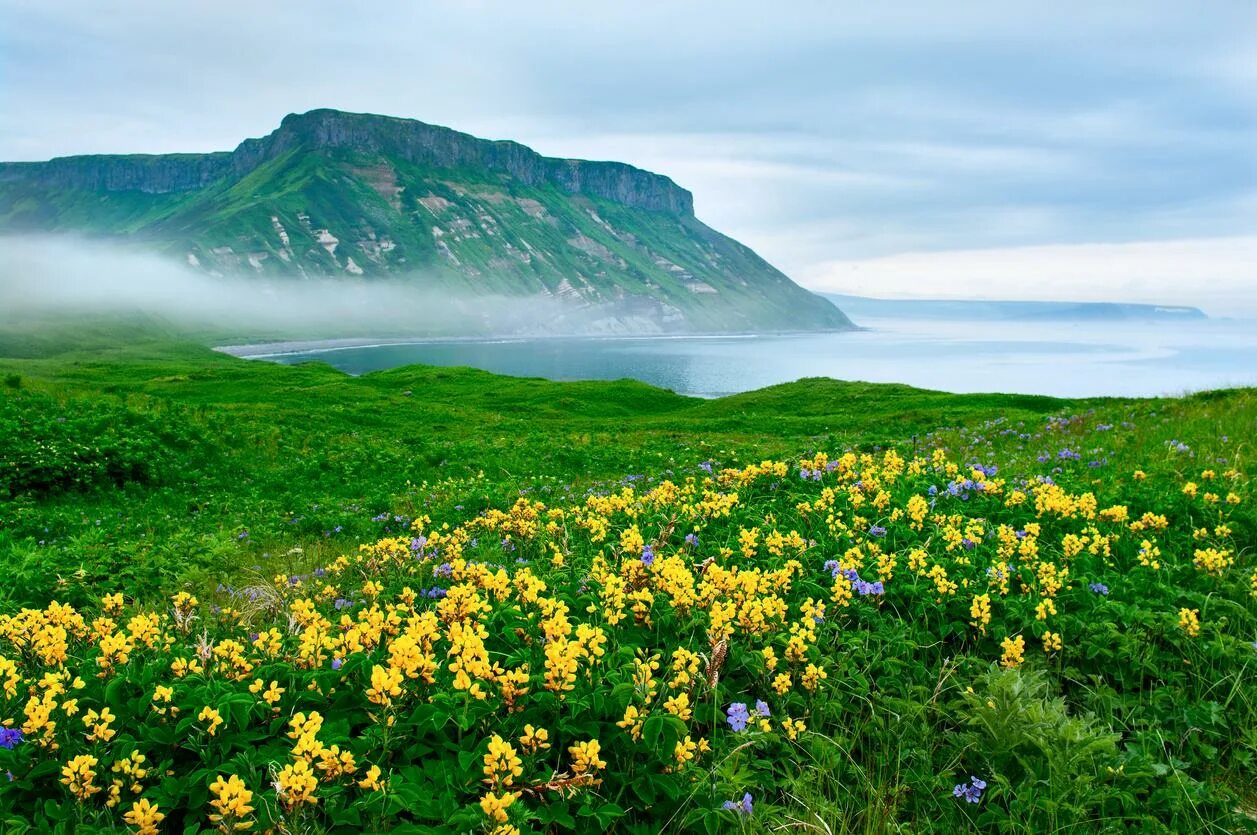 Природа сахалина фото самые красивые места На Сахалине ввели студенческий тариф для полетов на Курилы - Российская газета