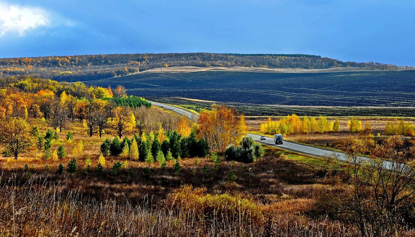 Природа саратова фото Приволжский пейзаж. / Земля Саратовской области / Автор: Тамара Бучарская