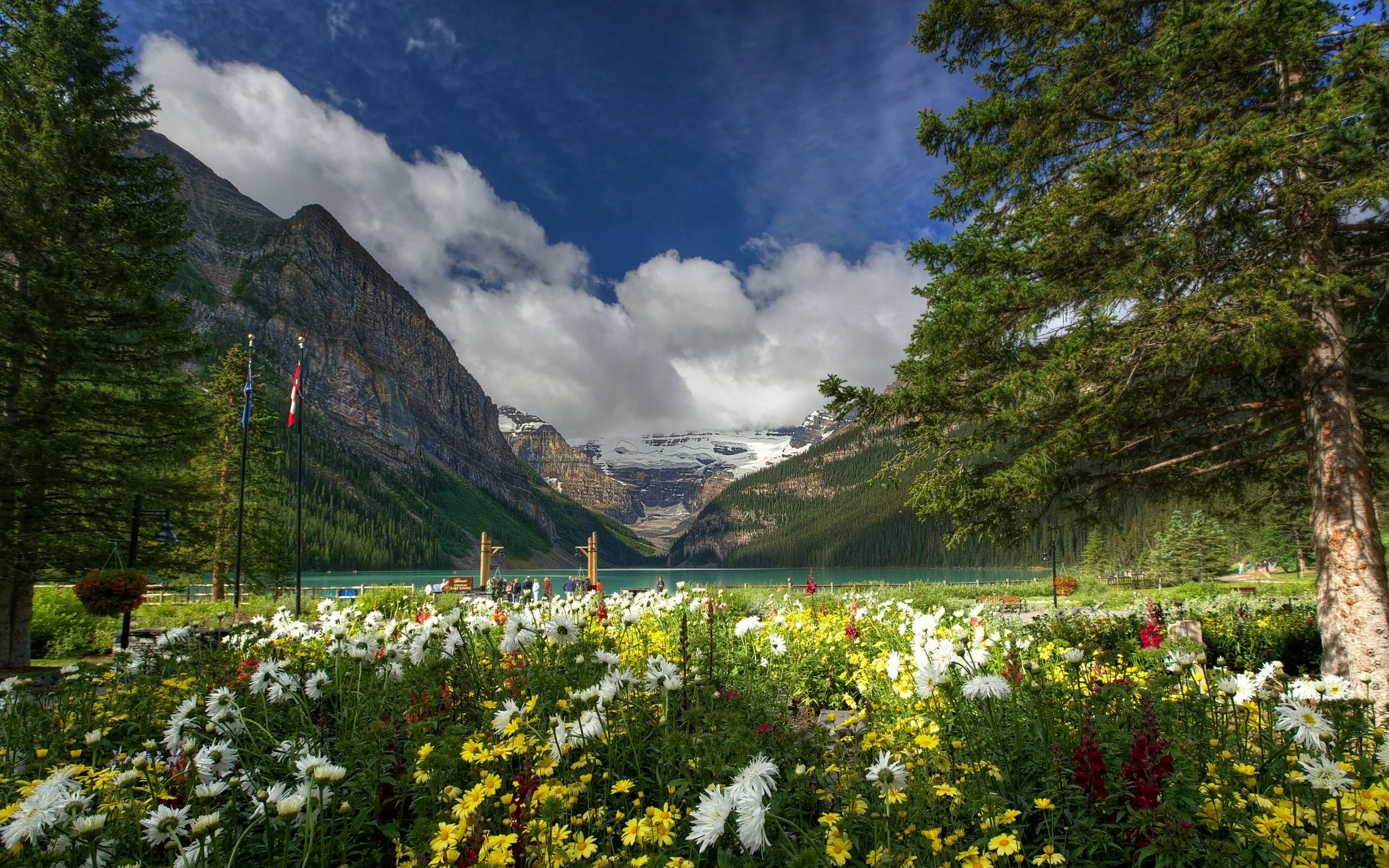 Природа сегодня фото Lake Louise Banff National Park Wallpaper - Lake Louise (#1119006) - HD Wallpape