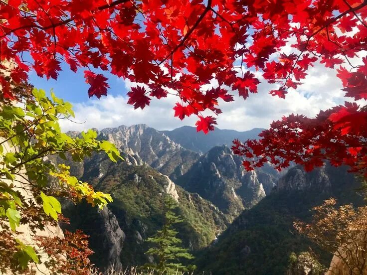 Природа северной кореи фото Fall season in Seoraksan National Park, Korea last Saturday 1334x750 OC : EarthP