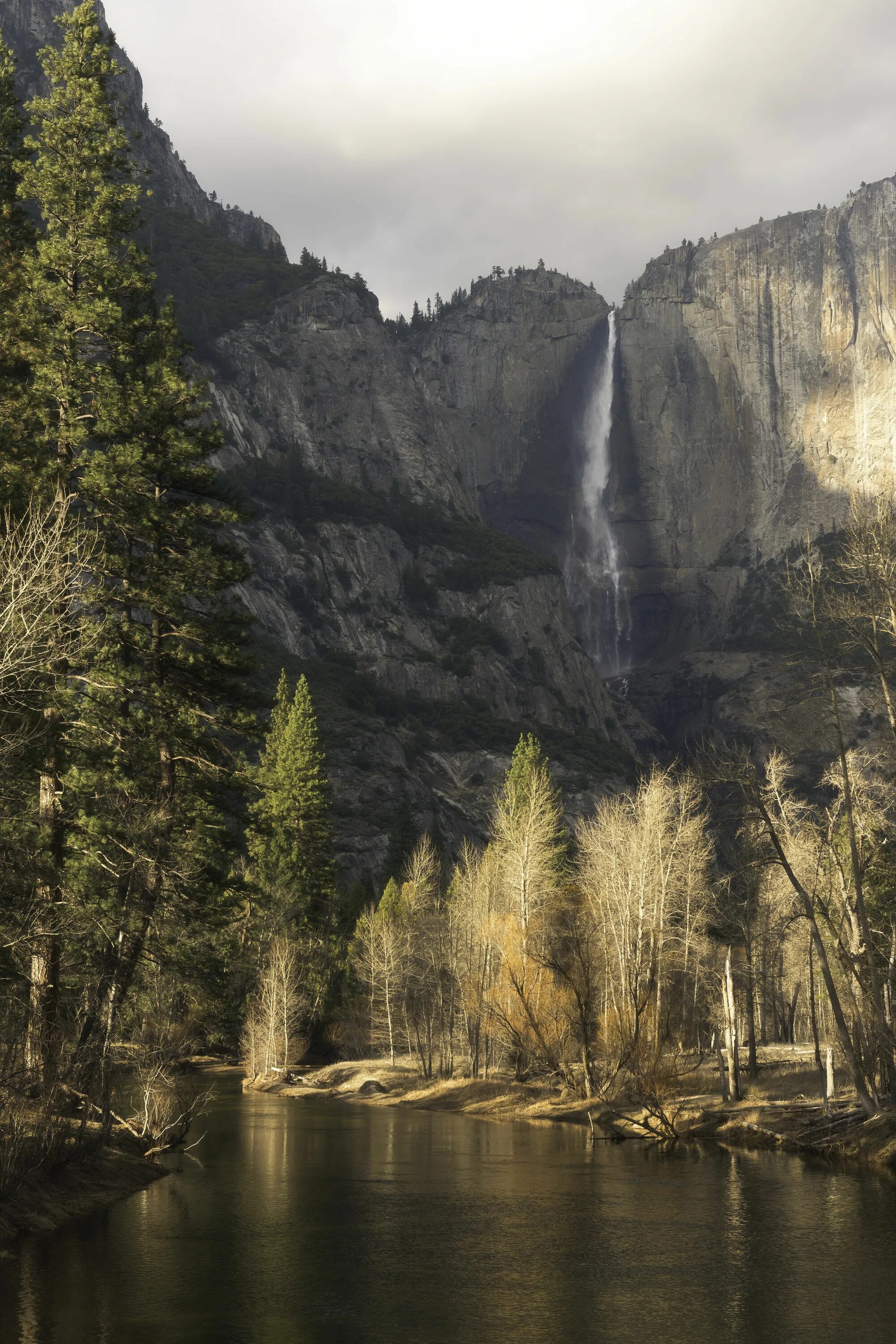 Природа сейчас фото Some gorgeous morning light at Merced River Yosemite National Park California 41