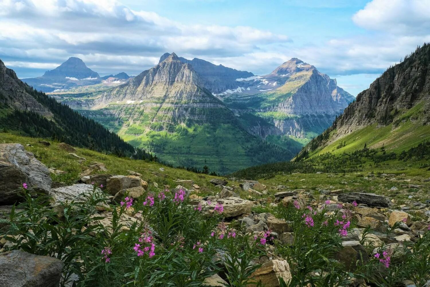 Природа сейчас фото Jigsaw Puzzle 77 pieces Hiking the Highline Trail in Glacier National Park, Mont