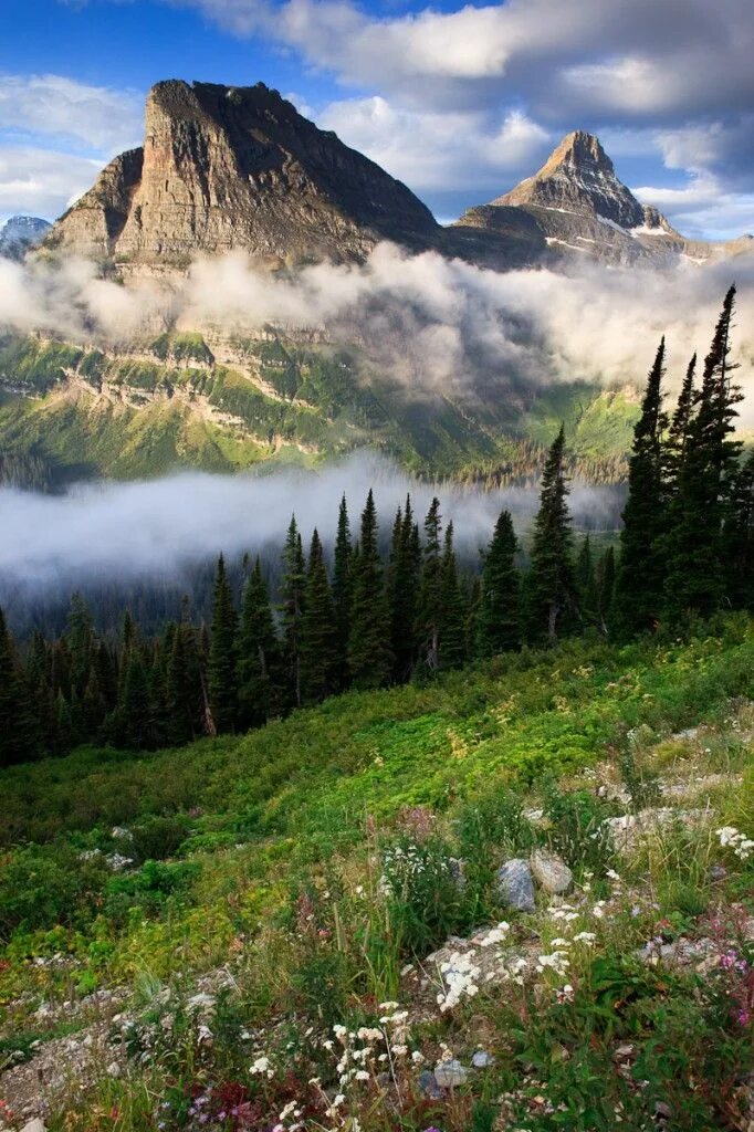 Природа сейчас фото Glacier National Park Jason Savage Photography Paysage, Glacier national park, P