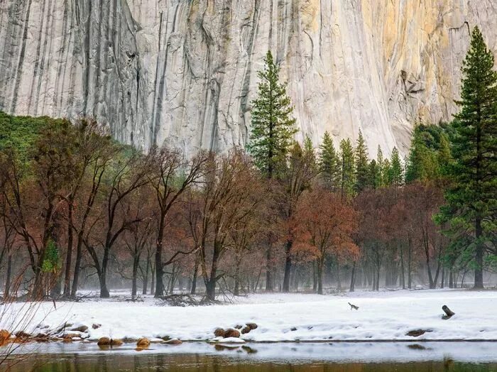 Природа сейчас фото Лучшие фотографии минувшей недели (05-11 ноября) от National Geographic