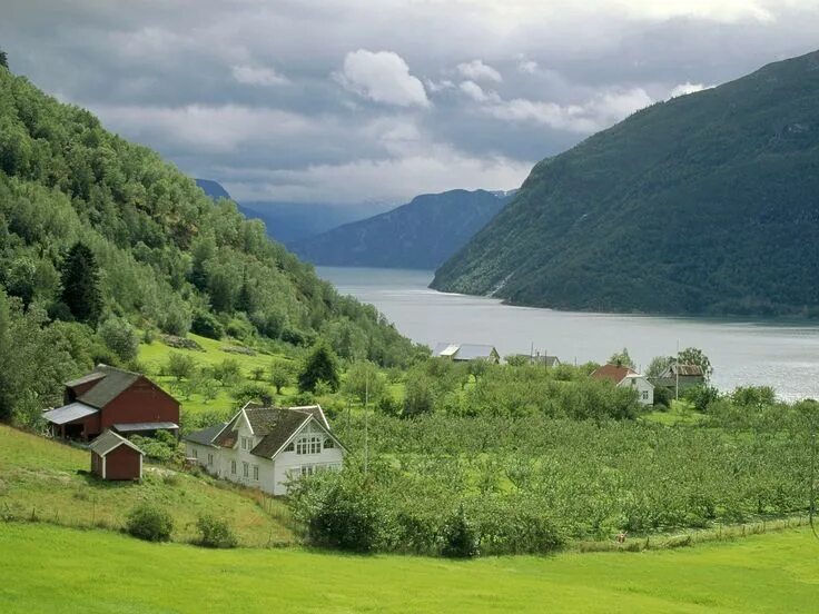 Природа швеции фото Urnes, Sognefjord, Norway House near mountains, Natural landmarks, Grass lake