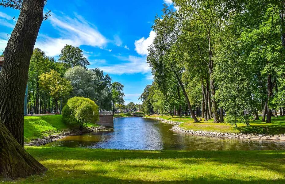 Природа спб фото Летний Сад: Райский Сад Петра Великого - цена экскурсии 5 000 ₽, отзывы, расписа