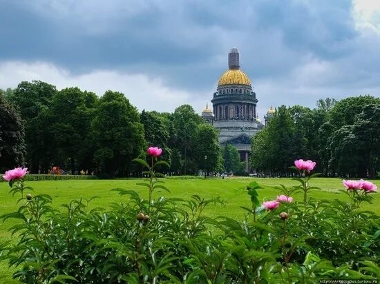 Природа спб фото Дмитрий Кобылкин - главные новости и последние события