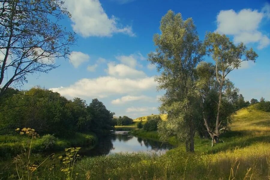 Природа средней полосы россии фото В.И. Кашин: Совместными усилиями сохранить природу России