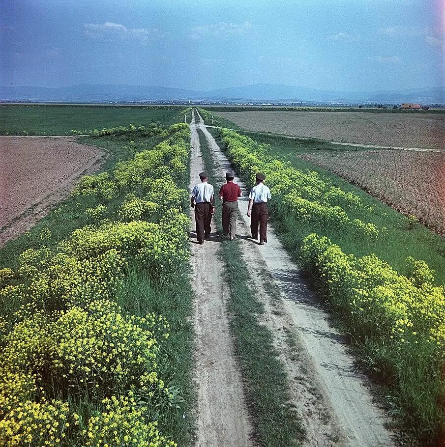 Природа ссср фото the track east Paisajes