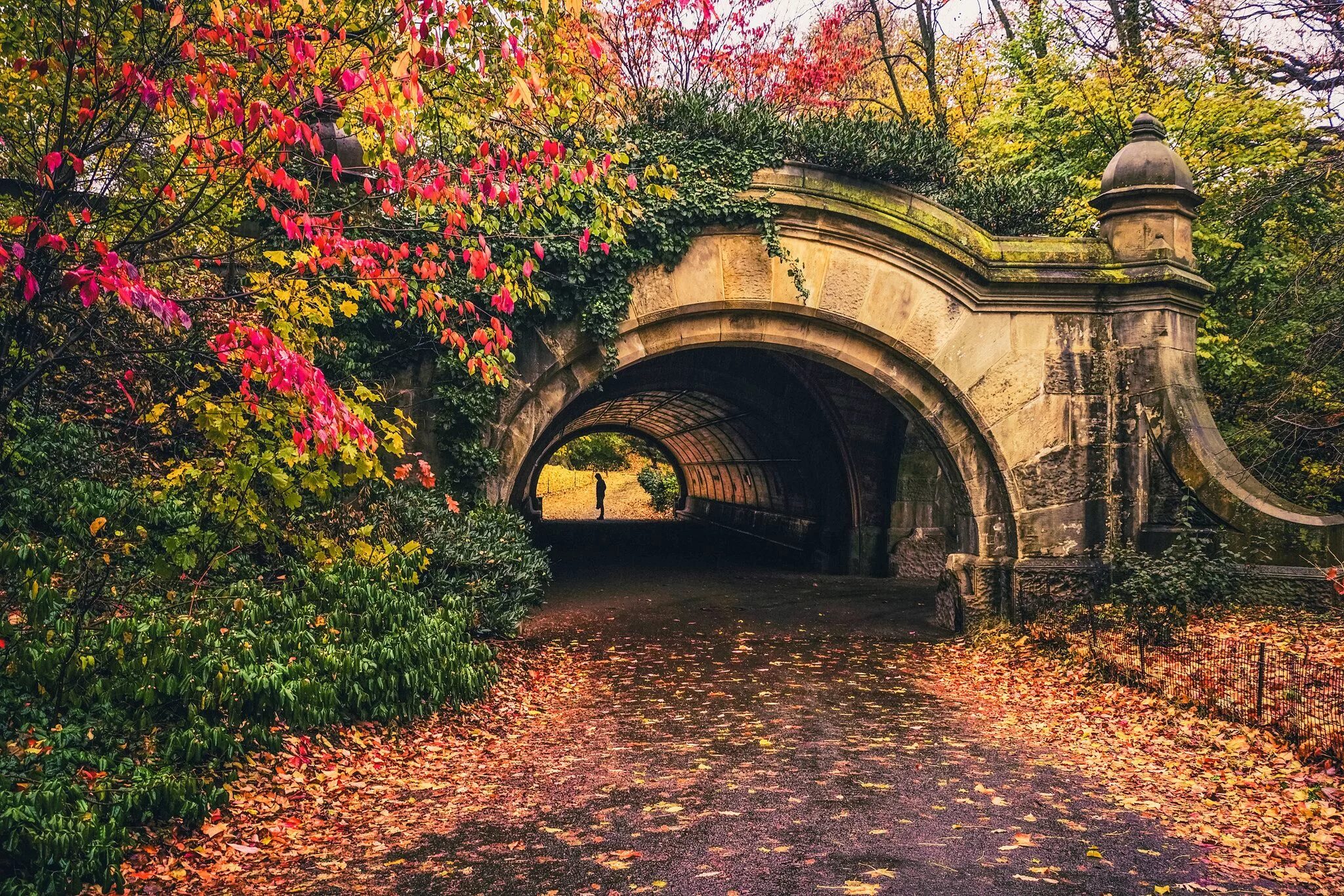 Природа старый фото Brooklyn - Autumn in Prospect Park Prospect park brooklyn, New york travel, Autu