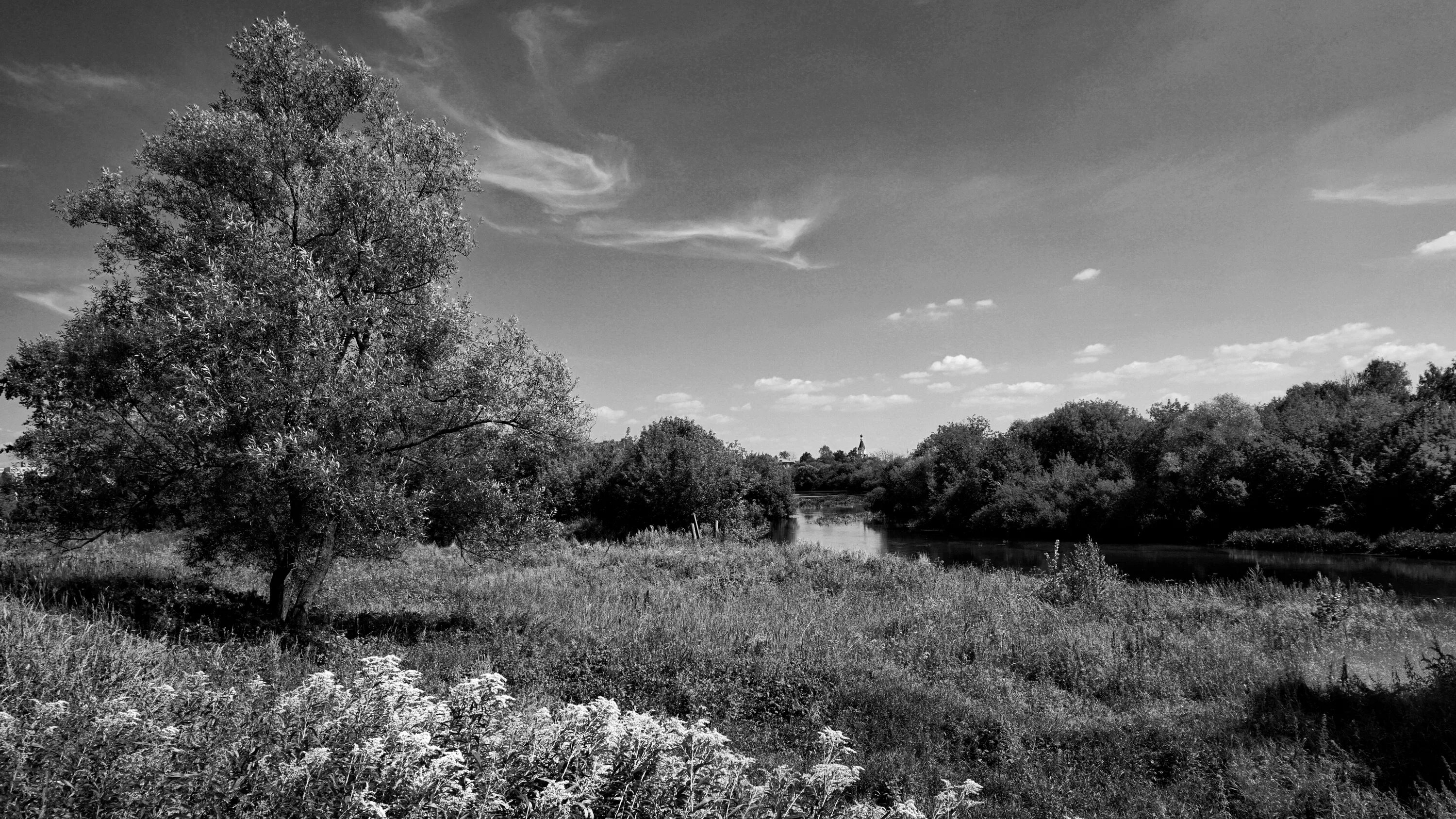 Природа старый фото Free Images : landscape, tree, nature, grass, cloud, black and white, field, flo