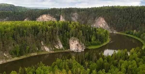 Природа свердловской области фото River surrounded by trees