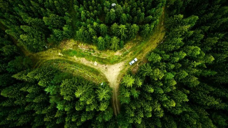 Природа сверху фото Aerial view of green forest wallpaper