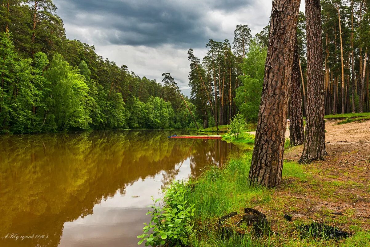 Природа тамбовской области фото Тамбовщина. :: Александр Тулупов - Социальная сеть ФотоКто