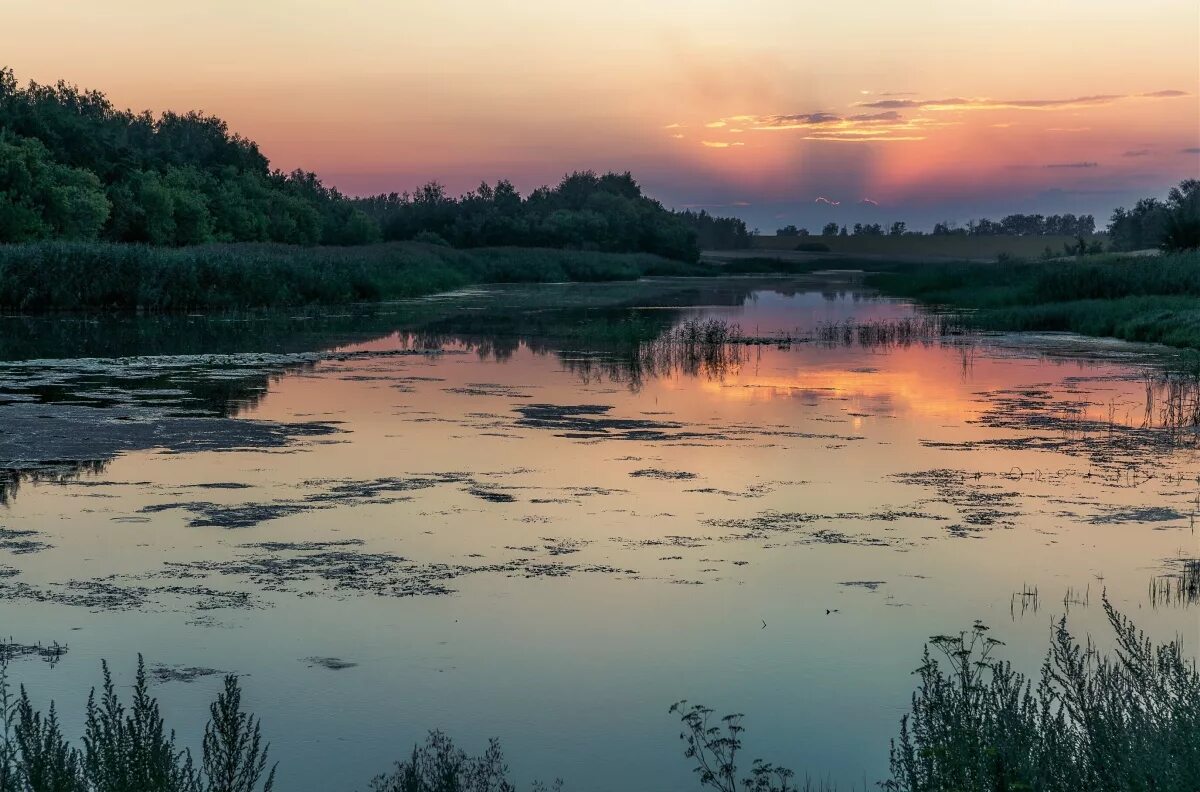 Природа тамбовской области фото Летний вечер / Тамбовская область / Автор: Мельников Алексей