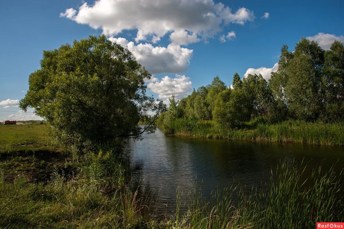 Природа тамбовской области фото Фото: Тамбовская обл. речка ЦНА.. Фотограф Юрий К.. Пейзаж. Фотосайт Расфокус.ру