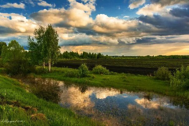 Природа тамбовской области фото Когда свободна душа (Ольга Немыкина) / Стихи.ру