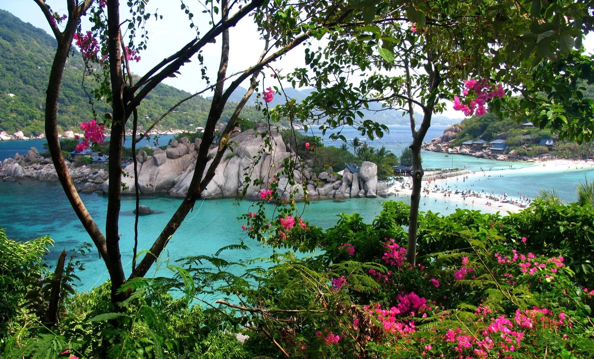 Природа тайланда фото Koh Nangyuan Thailand. Landscapes. 30673. Photos by Andrey Kotsyukevich on 3Puls